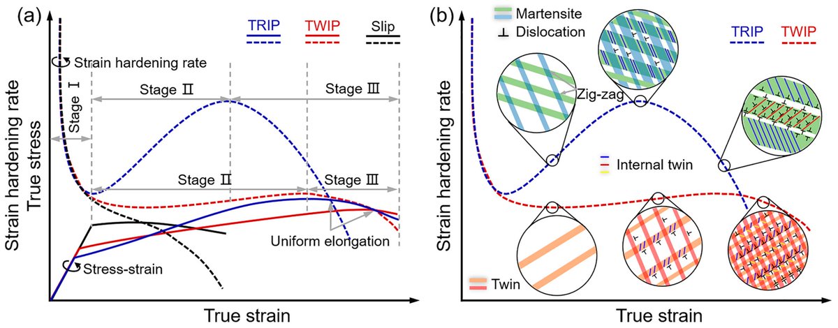 Metals_MDPI's tweet image. #mdpimetals 

💥Review paper sharing :

📔 A Review of #Deformation Mechanisms, #Compositional Design, and Development of #Titanium #Alloys with #Transformation-Induced #Plasticity and #Twinning-Induced Plasticity Effects

📌mdpi.com/2075-4701/14/1…

@Beihang1952 
@SiChuanUniv