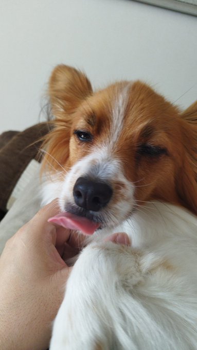 ヘン顔撮れたねえ 