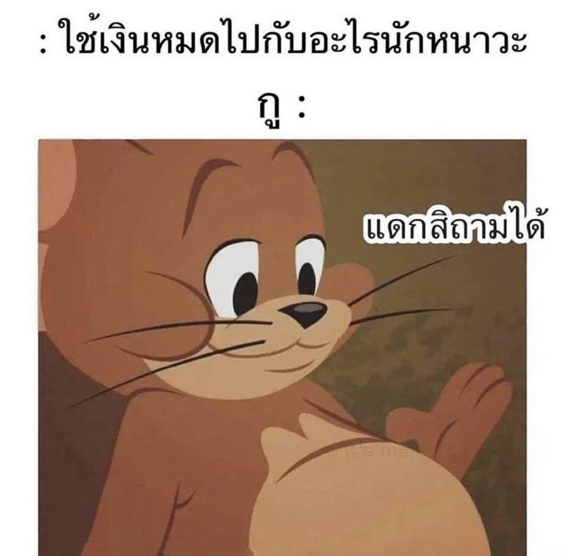 ความรู้สึกของฉัน◡̈ tweet media