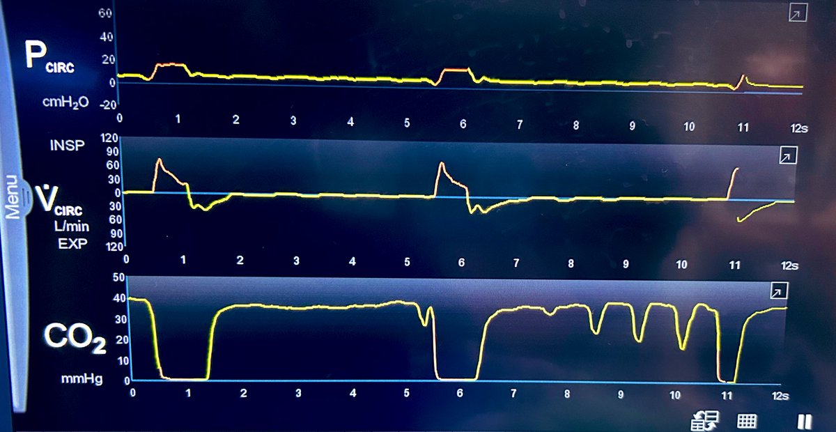 Mohammed Megri. MD tweet media
