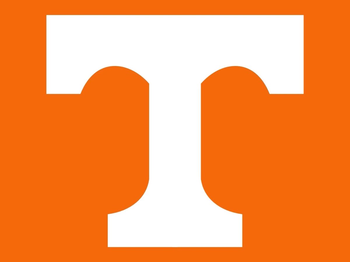 Tommy Tofi tweet media