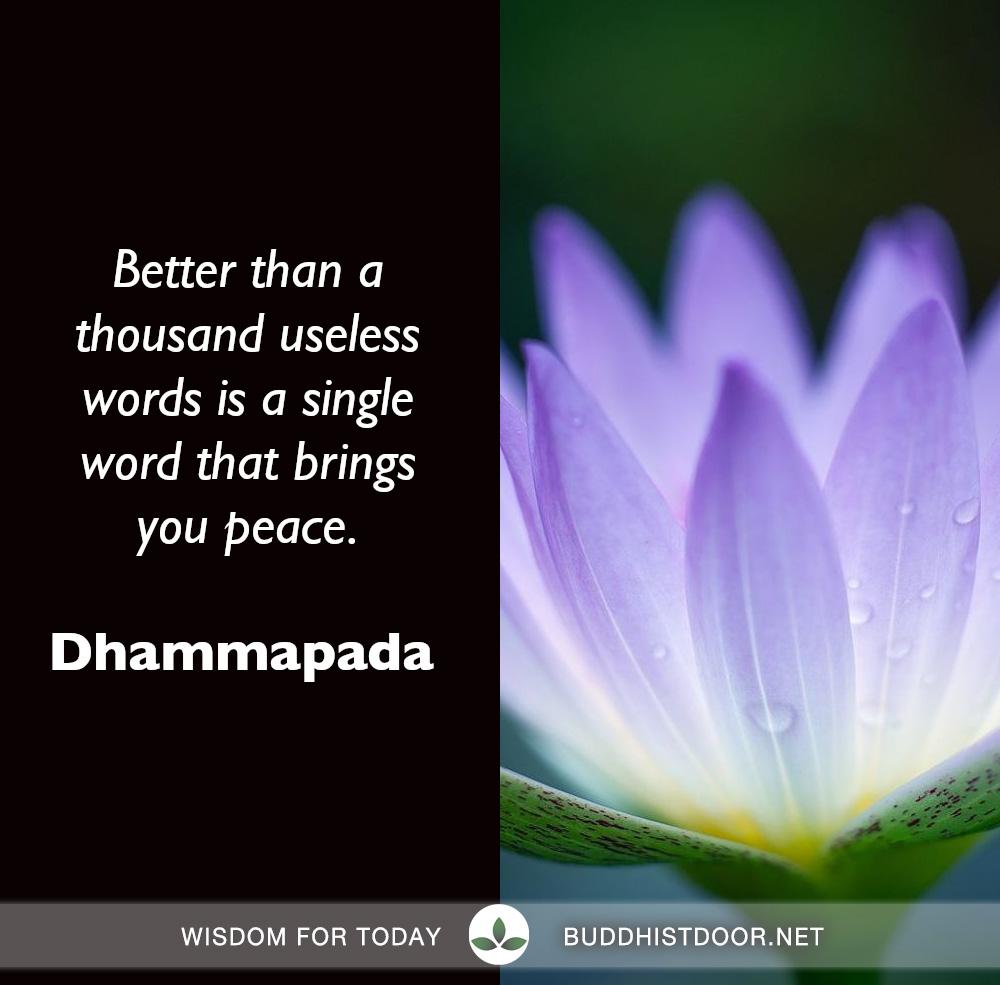 Buddhistdoor's tweet photo. Buddhist Quote for Today: Dhammapada
https://t.co/YpV5HdQXMn
#buddhistquotes #dharma #buddha #buddhism #theravada #dhammapada #earlybuddhism #suttas #tripitaka #shakyamuni #shakyamunibuddha #liberation #rightspeech #meditation #eightfoldpath #happiness #buddhistpractice https://t.co/8YIJu85bvD