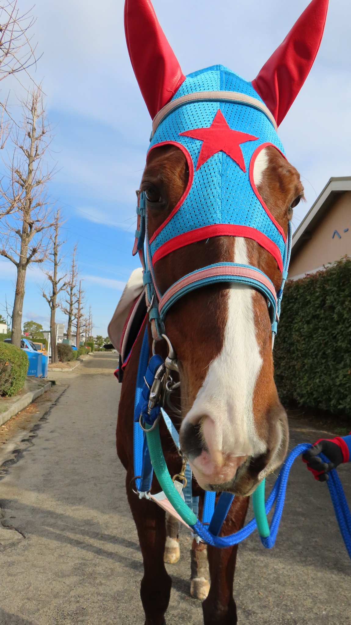 日刊ゲンダイ 競馬 on X: 日刊ゲンダイ 競馬 on X: