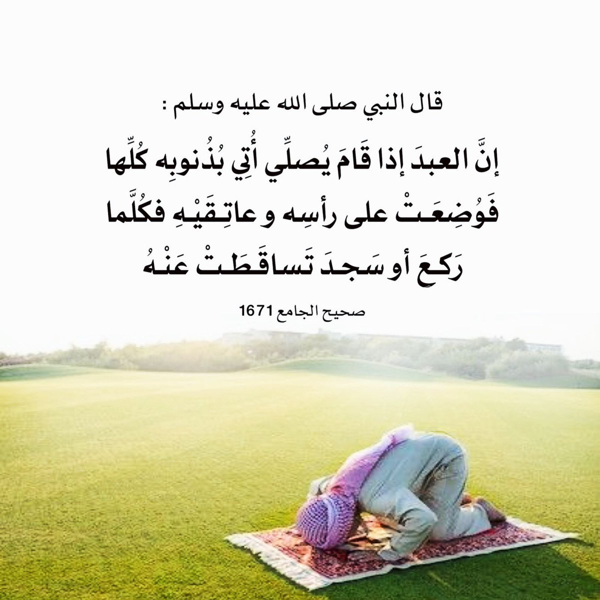ahdab75's tweet photo. https://t.co/SLGfz4ruaZ