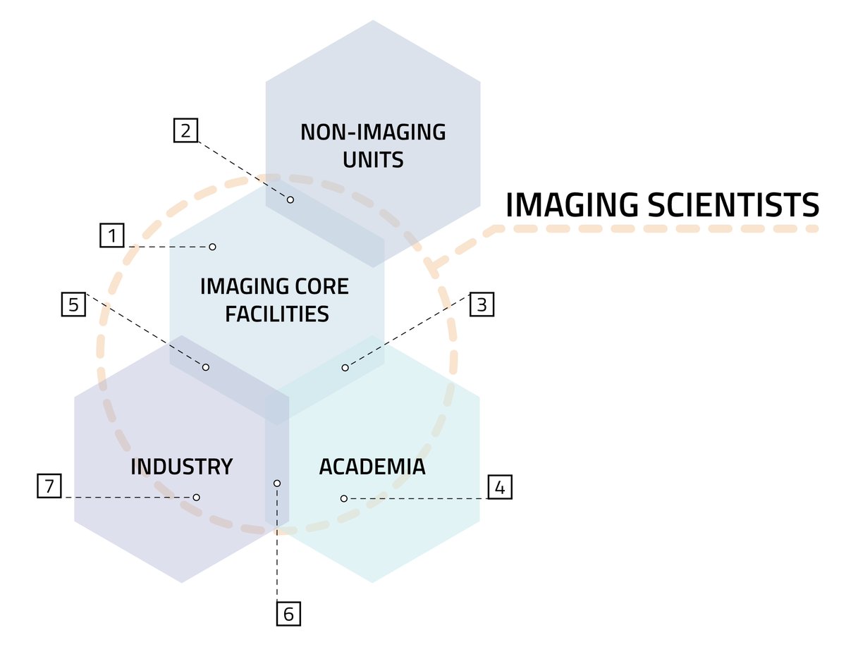 Global Imaging Scientists collaborate to shape a brighter future for Career Paths in Imaging Core Facilities. Together, we propose key recommendations to elevate and advance opportunities in our field: zenodo.org/records/102007… 🌐🔬 #ImagingTheFuture #CareerPaths