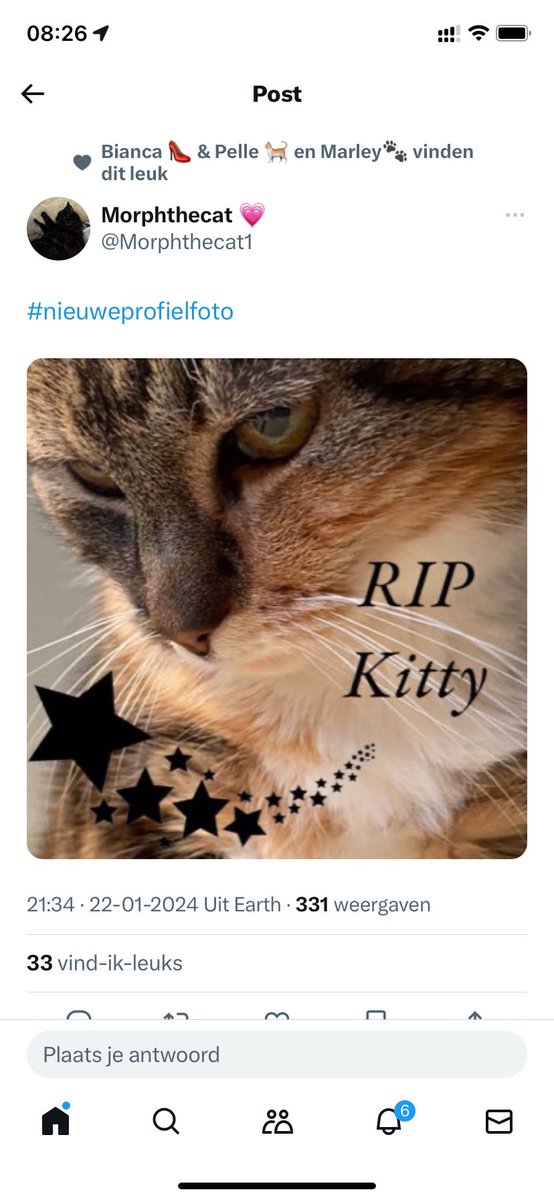 Tommie; opvolger van Kitty 🌈 tweet media