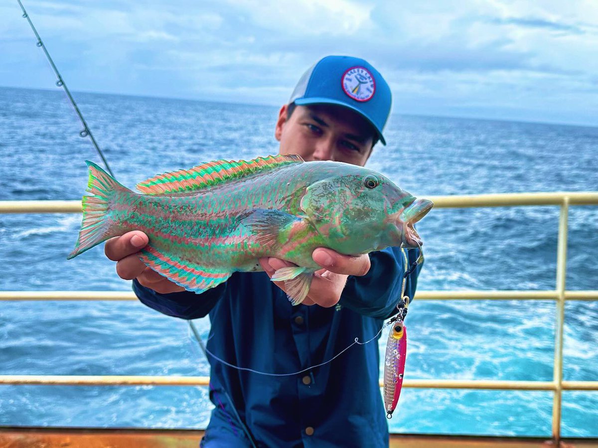 palms_global's tweet photo. Shore Slow Jigging with Slow Blatt cast SLIM in France ๐ซ๐ท
Lure: Slow Blatt cast SLIM 60g Pink back glow color(H-528)
Merci Hugo !!
#palmsfishing #shorejig #shorejiggingfrance #shoreslowjigging #shoreslow #fishingfrance #francefishing #babylonfishing @babylonfishing @palms_japan https://t.co/YL6OUHx3wQ