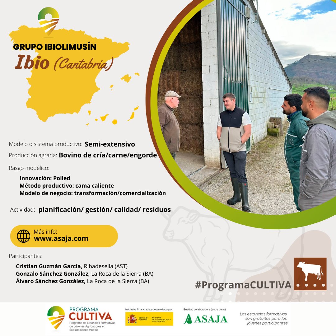 Cristian, Gonzalo y Álvaro aprenden técnicas y manejo en 🐄 Ganadería #Ibiolimusín gracias al #ProgramaCULTIVA en📍 #Ibio (#Cantabria)

➕INFO:
👉ow.ly/aMwM50QsRCn #Asaja
👉ow.ly/Z9Wo50QsRCo @mapagob
#Asaja #ASAJAProgramaCULTIVA