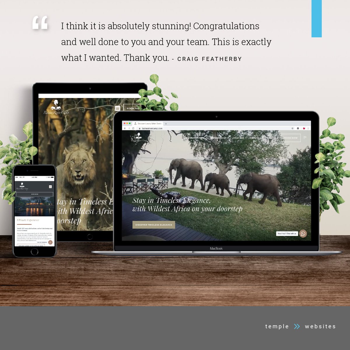 TempleWisdomZA's tweet photo. We are thrilled to announce the launch of the newly designed Baines’ River Camp website! ✨ Explore now 🐘 https://t.co/wmV1ZbMARN

“I think it is absolutely stunning! Congratulations and well done to you and your team. This is exactly what I wanted. Thank you.” - Craig Featherby https://t.co/FaoUlzZ65T