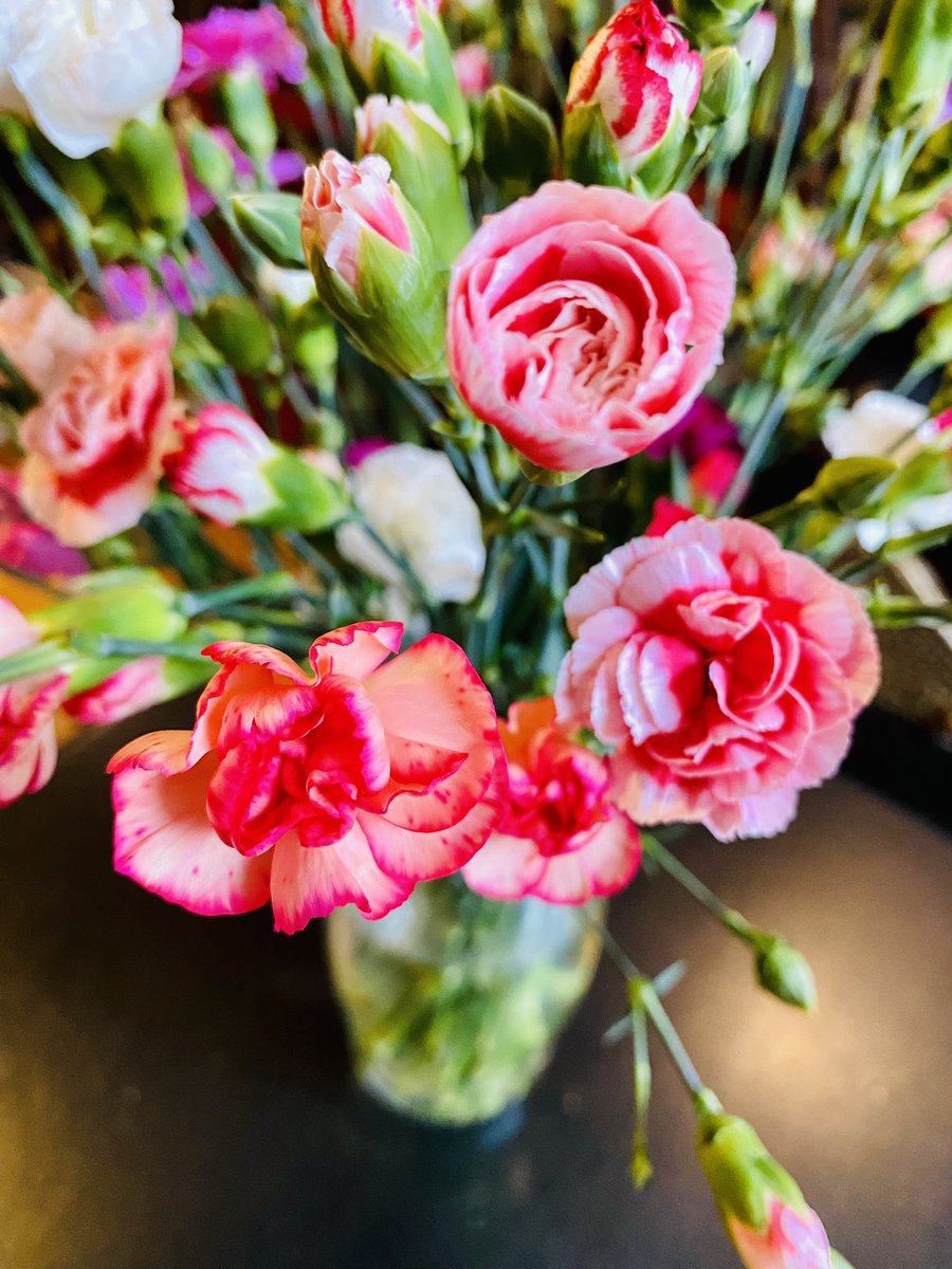 EmmanuelPierrat's tweet photo. C’est le retour des « petits » (on ne parle pas de la longueur des tiges) des œillets !
Comme j’ai eu du mal à choisir, le plus simple restait le panachage des couleurs…
#oeillets #fleurs #bouquet #flowers #bonheurdujour https://t.co/M47HAzv1FD