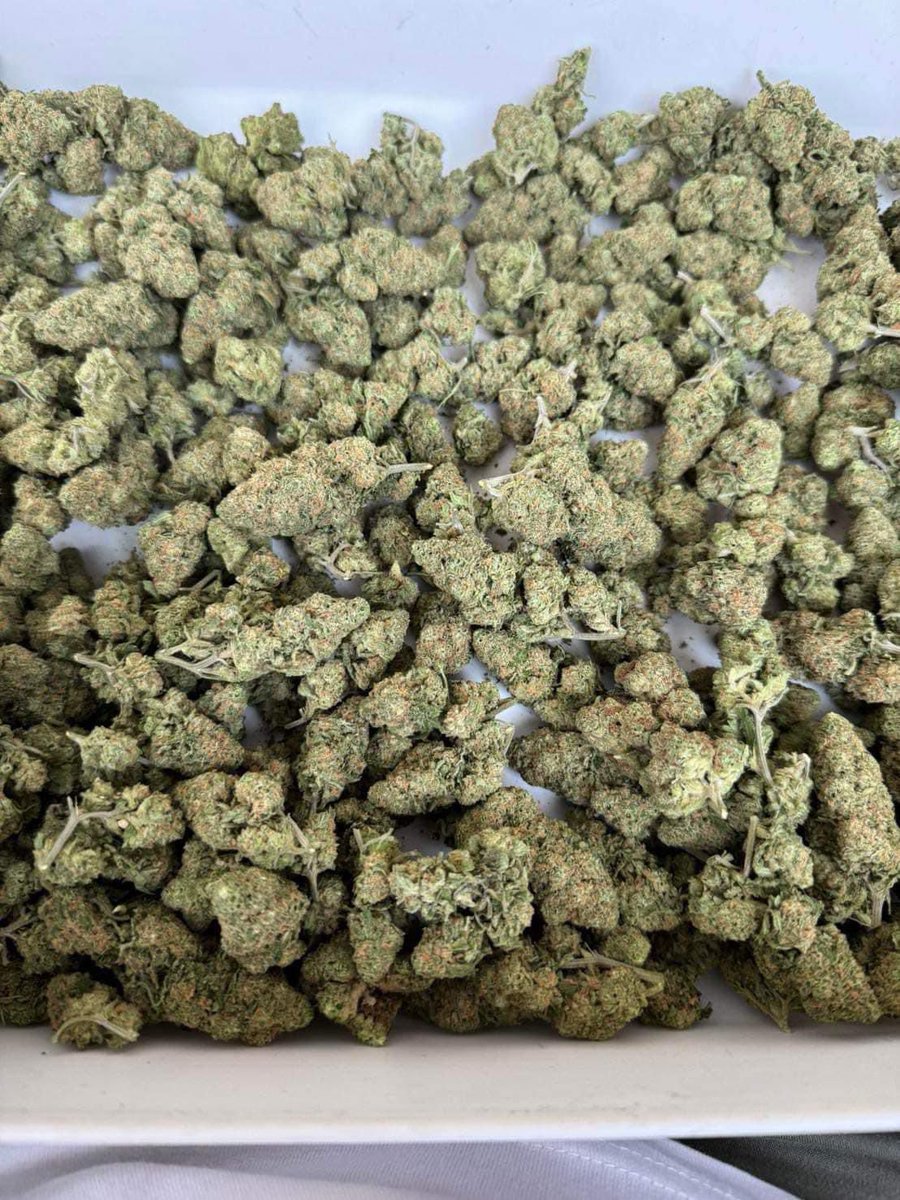 Ndi_Muvenda_'s tweet photo. #Ad
A thread of RevMed Products/herbs That Can keep you healthy.

Duba Cannabis Tea, Duba Raw Joints, Duba Cannabis Cigar Belgian Strain...

Duba can help you with pain management and weight loss for more info check: https://t.co/VdQCjcFHA6 https://t.co/OESwggoQHP