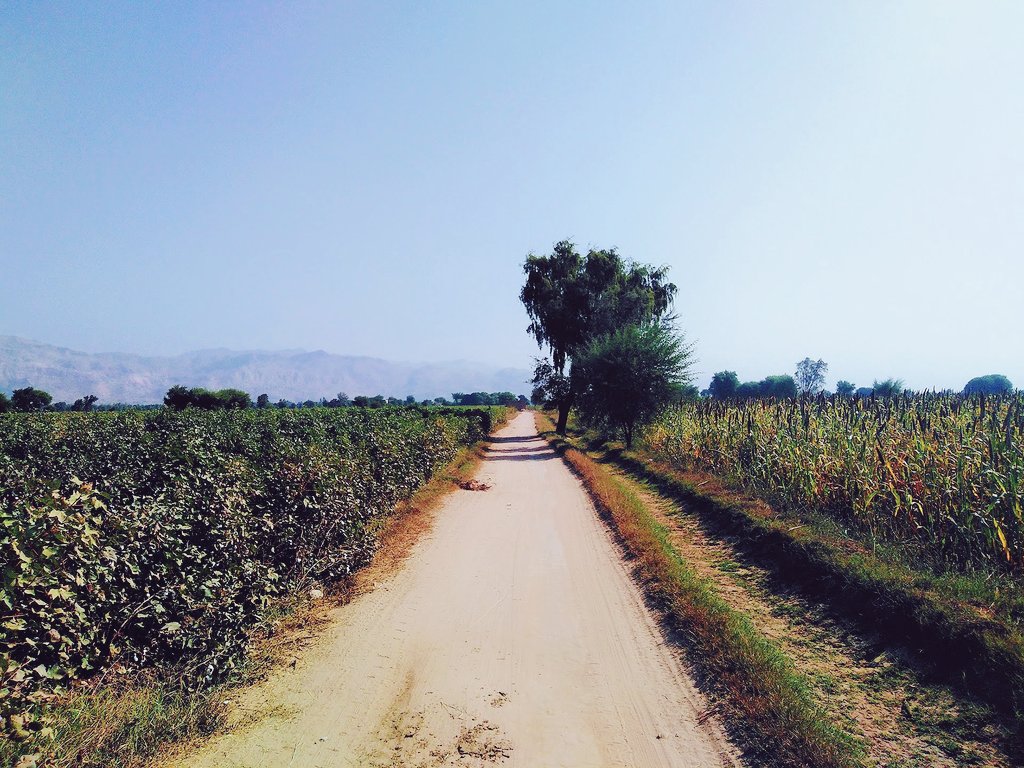 AsifSaleemRK's tweet image. تـوں صبـح دی پاک ہـوا ورگـا
سـاڈے پنـڈ نُـوں جانـدی راہ ورگـا...🌻

السلامُ علیکم 🥀
صبـح بخـیر X واسـیو... 🌷
#Villagevibes