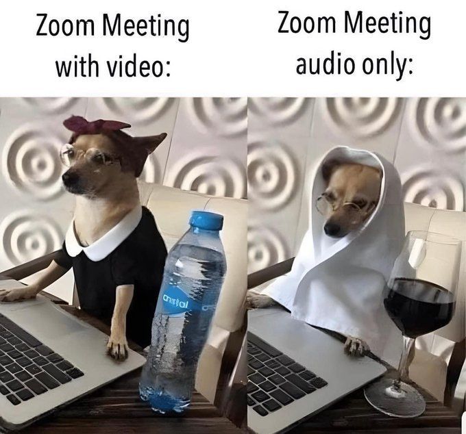 WholesomeMeme's tweet photo. https://t.co/XVbI4Q2xhn