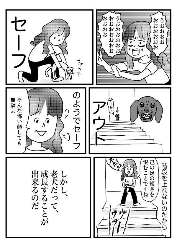 猫と向き合った時の話⑤ 【再掲】