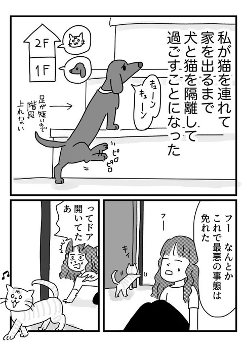 猫と向き合った時の話⑤ 【再掲】