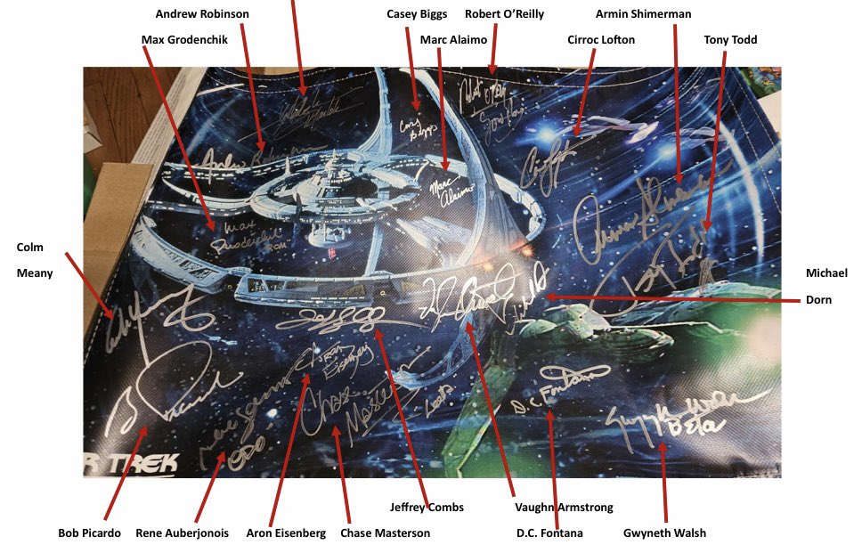 This is my other #StarTrek banner - ❤️@CreationEnt auctions! 18 #StarTrekDS9 signatures - but it’s missing some big ones: Avery Brooks, Nana Visitor, Terry Farrell, Alexander Siddig. I hope to see them all at #STLV! (I know Avery is unlikely. ☹️ But maybe Sid @sidcityonline?)