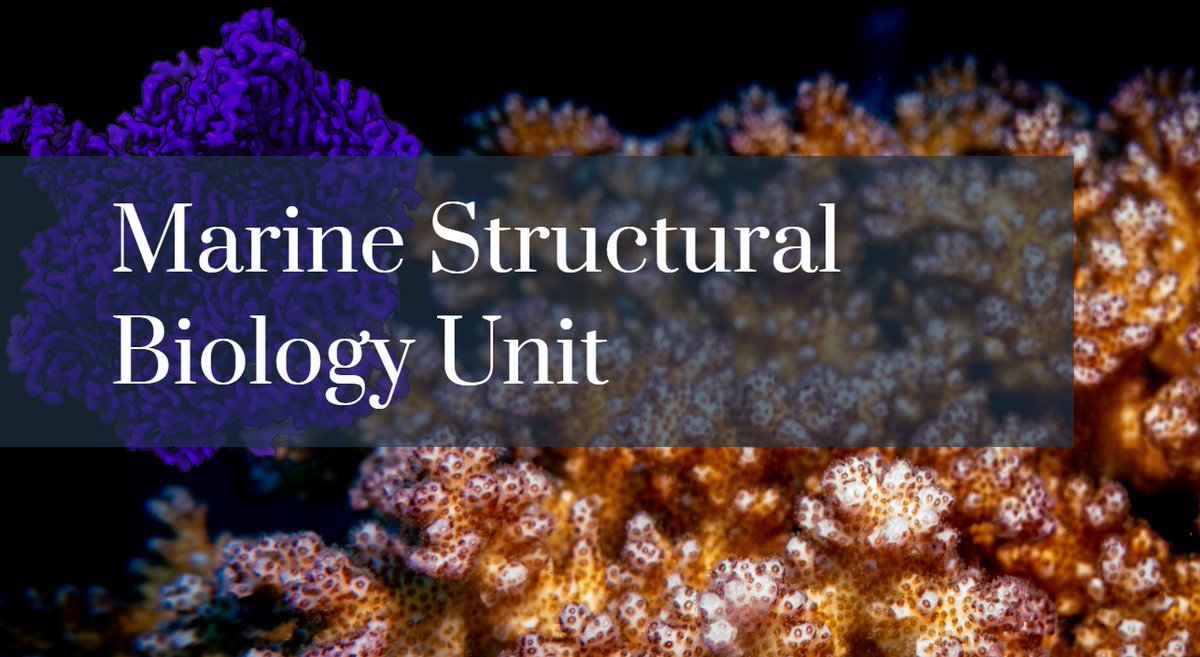 My lab has exciting openings for postdocs/staff scientists and a technician. Involves super-cool projects, a dynamic international environment, cutting-edge infrastructure, and a stunningly beautiful tropical island!
oist.jp/careers/two-po…
oist.jp/careers/resear…
Please repost!