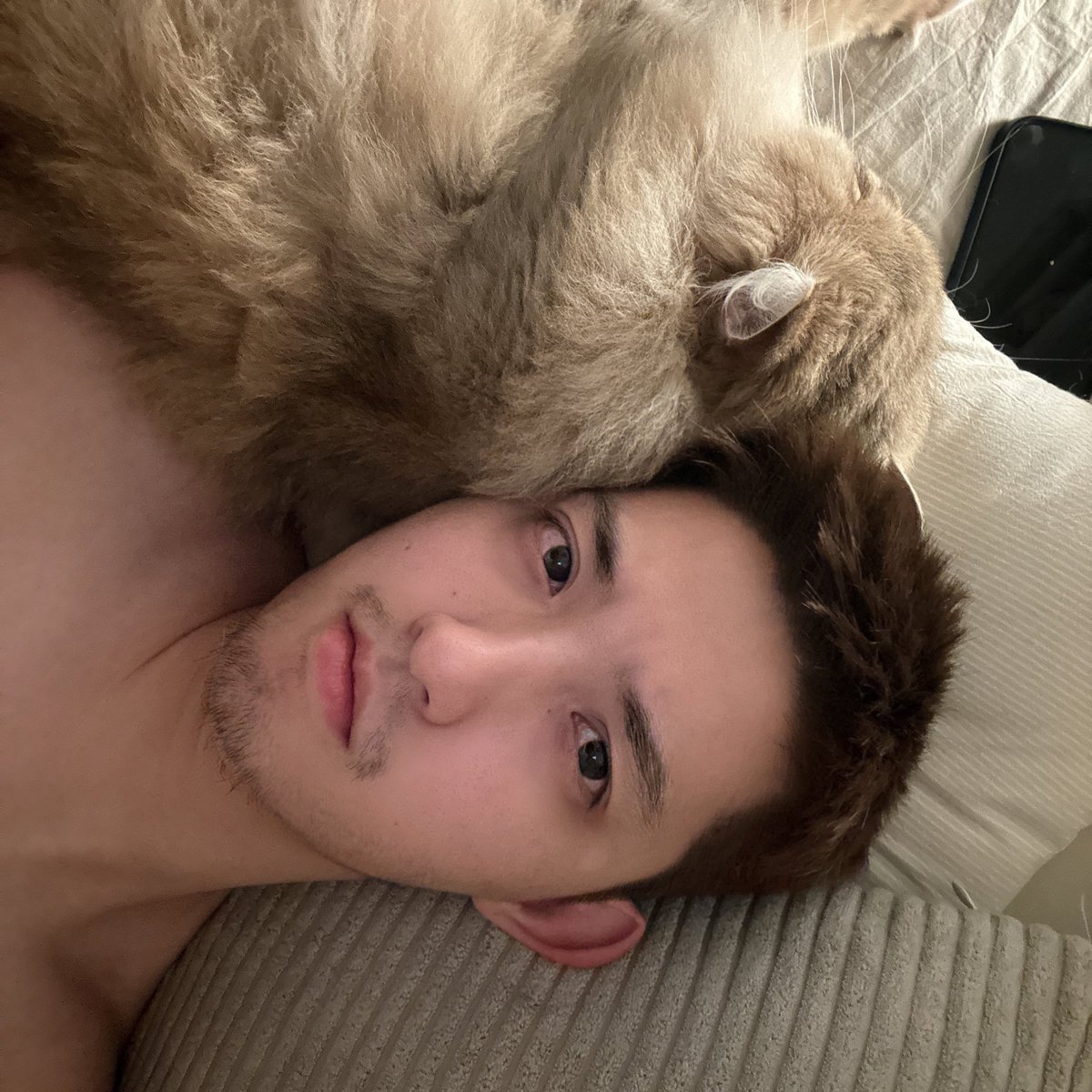 清纯一下（清纯佳人白玫瑰