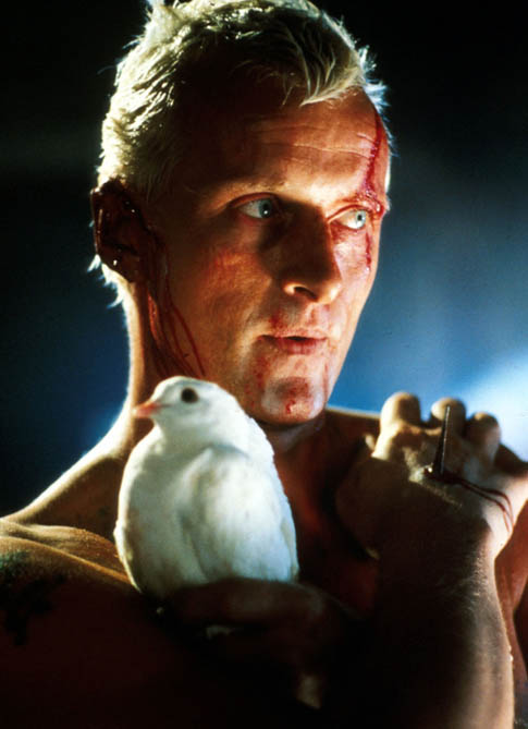 «I've seen things you people wouldn't believe, attack ships on fire off the shoulder of Orion, I watched c-beams glitter in the dark near the Tannhäuser Gate. All those moments will be lost in time, like tears in rain. Time to die.»

80 anni fa nasceva il leggendario Rutger Hauer