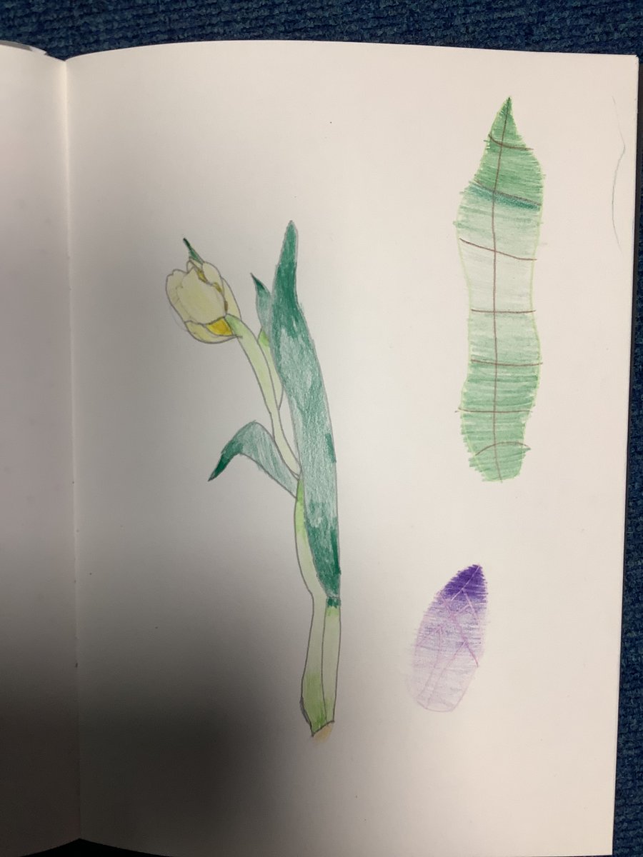 Chandlers Ridge Y2 tweet media