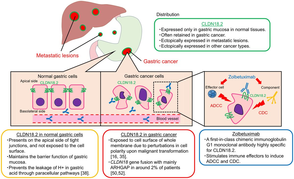 Kohei shitara tweet media