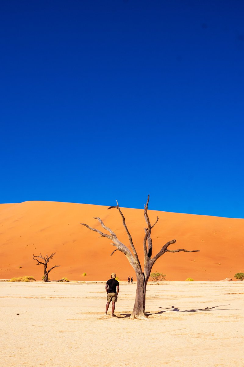 Hata ukienda Kwa Desert ni Sisi tuu bado Tuko 

#GecoTribe

📍 Deadvlei Namibia