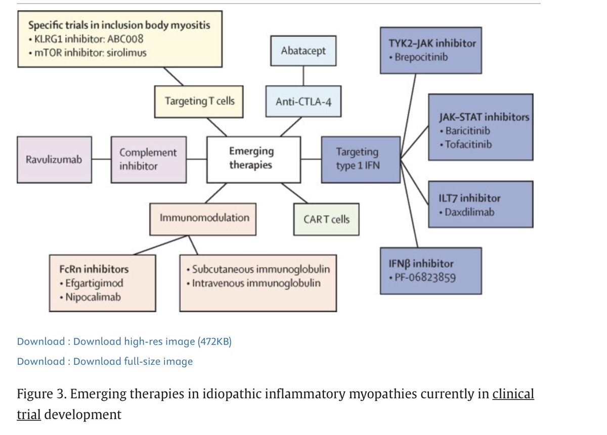 Latika (@latikagupta_) on Twitter photo Pleased to share our review in the <a href="/TheLancetRheum/">The Lancet Rheumatology</a> discussing current insights and future frontiers for inflammatory #myopathies. Full text and pictures accessible here! tinyurl.com/y25mhnnm Pleased to share our review in the <a href="/TheLancetRheum/">The Lancet Rheumatology</a> discussing current insights and future frontiers for inflammatory #myopathies. Full text and pictures accessible here! tinyurl.com/y25mhnnm
