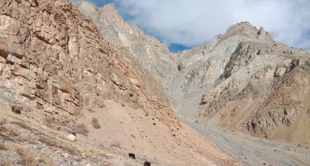 GemsHimachal's tweet photo. आज की ये तस्वीरें स्पीति वैली की।
बिना बर्फ के पहाड़ सूखे पड़े हुए हैं - में टेंपरेचर है इसलिए पानी के जो स्त्रोत हैं वो भी जम रहे हैं। इन तस्वीरों में आपको याक 🐃🐃 भी नजर आएंगे।
#Himachal #Spiti #Nosnowfall https://t.co/rhYv65eaW9