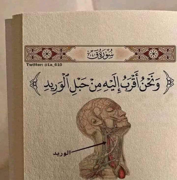 GoldenApple1993's tweet photo. رب تعالیٰ شہ رگ سے بھی زیادہ قریب ہے ❤️🥰 https://t.co/wJr6Aed99t