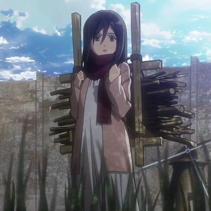 spaun24635's tweet photo. The way mikasa wore the same clothes in the first episode and last episode📷
📷
#attackontitan
#attackontitanseason4
#mikasa
#mikasaackerman https://t.co/RYCXm38uxp