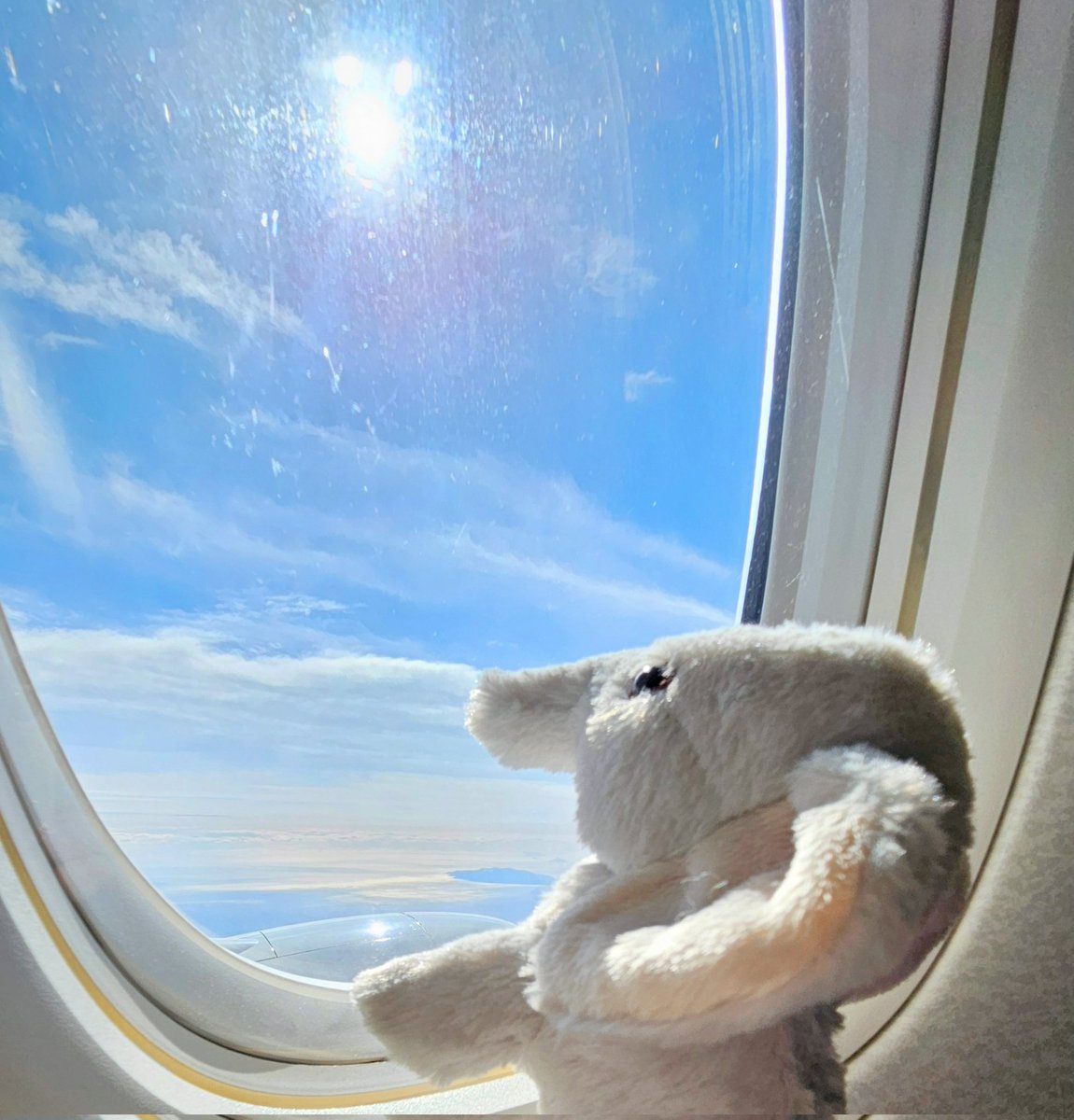 godbllessyou77's tweet image. くもの うえは
いつだって 青空～🐘☀️

#HSS型HSP
#ひとり旅