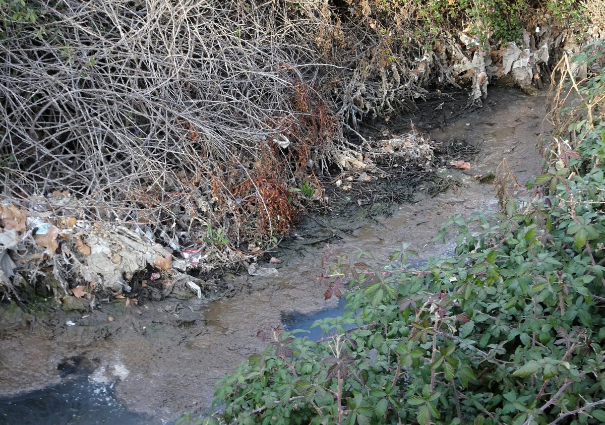 En España se vierten a los ríos y el mar las aguas residuales sin depurar de más de 9 millones de personas, lo que produce graves daños ambientales. Llevamos ya por ello abiertos 5 expedientes sancionadores por parte de la UE. Es necesario incrementar la inversión en depuración.