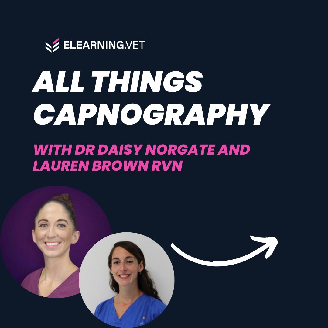 ElearningV's tweet image. LIVE TONIGHT! All things Capnography! 🩺

Tune in tonight: i.mtr.cool/wcdypdyadk