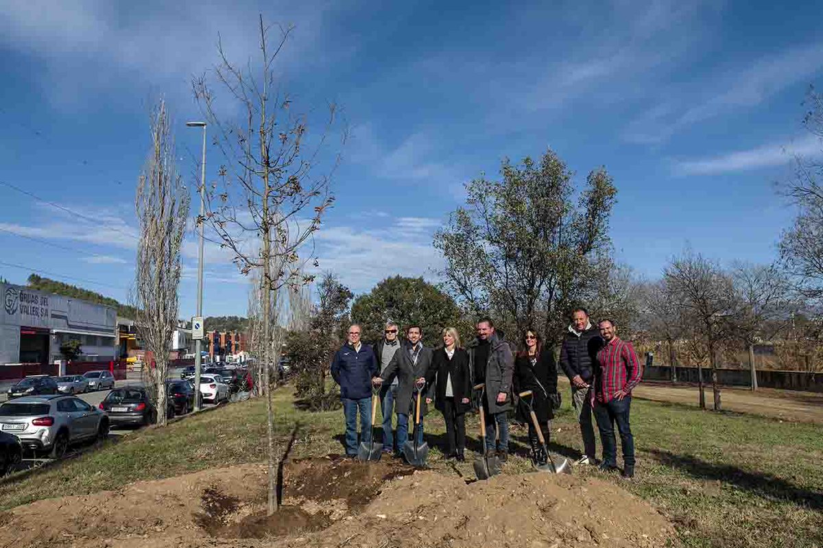 La Mitja Marató tweet media