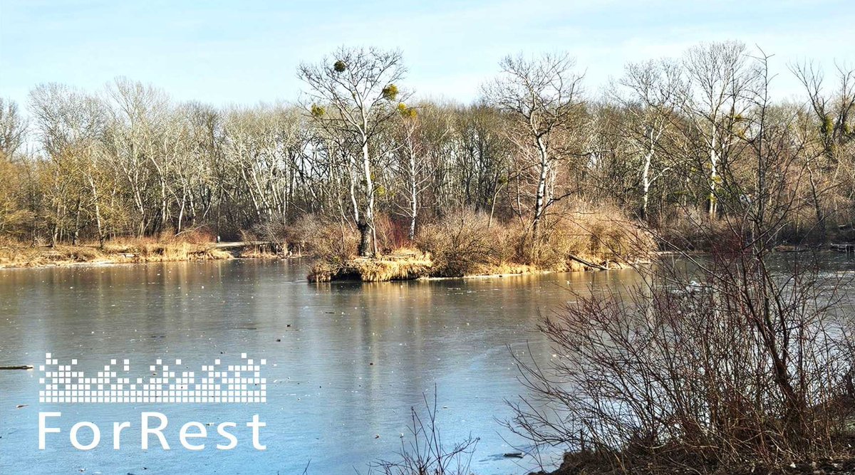 ForRest - Big Data in Forest Recreation (@forrest_bigdata) on Twitter photo This is what we like most! #fieldwork & #trasdisciplinary #exchange in #nationalpark #Donauauen 🍃🌍. Thank you for inviting <a href="/ForRest_bigdata/">ForRest - Big Data in Forest Recreation</a> <a href="/KTaczanowska1/">Karolina Taczanowska</a> <a href="/stefruzsi/">Fruzsina Stefán</a> from <a href="/ILEN_BOKU/">BOKU_ILEN @BOKU_ILEN@wien.rocks</a> to share results on (digital) information sources used by #Vienna #outdoor #recreationists This is what we like most! #fieldwork & #trasdisciplinary #exchange in #nationalpark #Donauauen 🍃🌍. Thank you for inviting <a href="/ForRest_bigdata/">ForRest - Big Data in Forest Recreation</a> <a href="/KTaczanowska1/">Karolina Taczanowska</a> <a href="/stefruzsi/">Fruzsina Stefán</a> from <a href="/ILEN_BOKU/">BOKU_ILEN @BOKU_ILEN@wien.rocks</a> to share results on (digital) information sources used by #Vienna #outdoor #recreationists