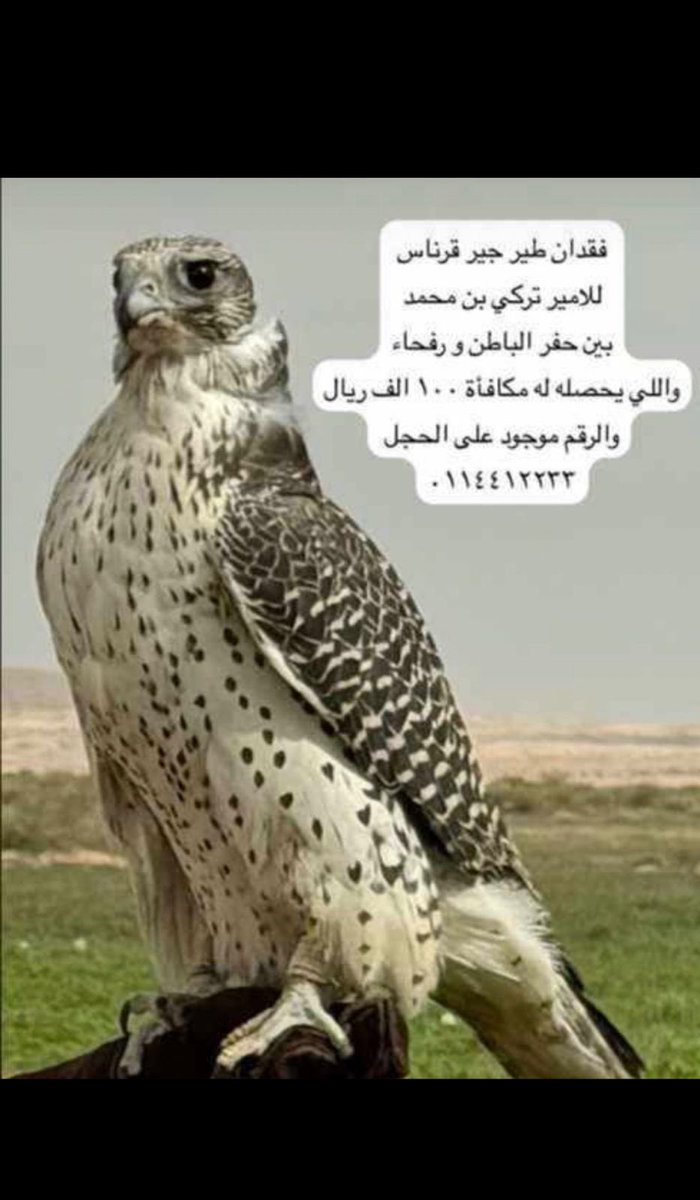 fayez_malki's tweet photo. https://t.co/NHa0eDH1aN