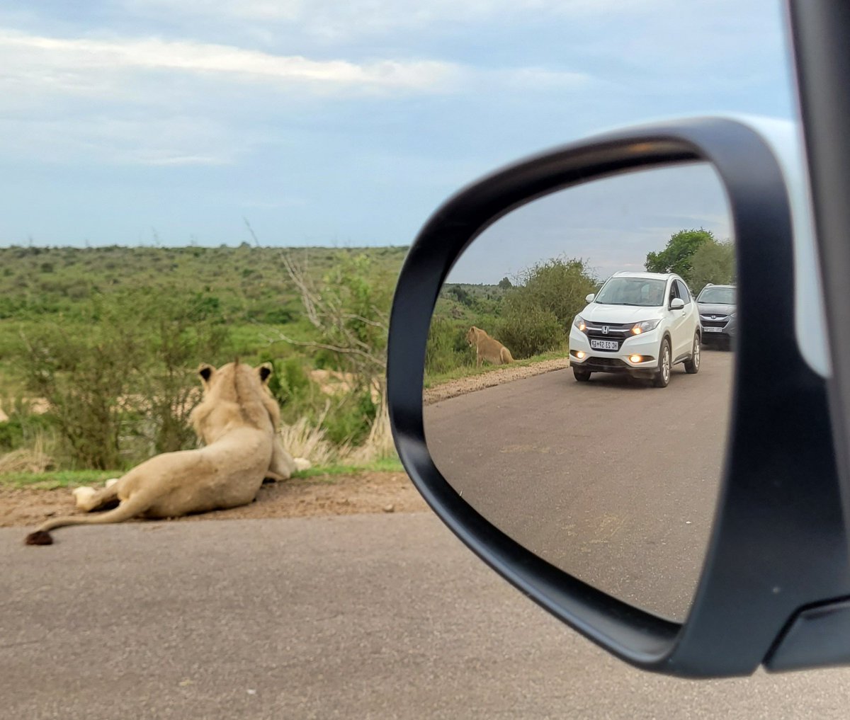 Has and always will #KrugerNationalPark #LiveYourWild #Sanparks