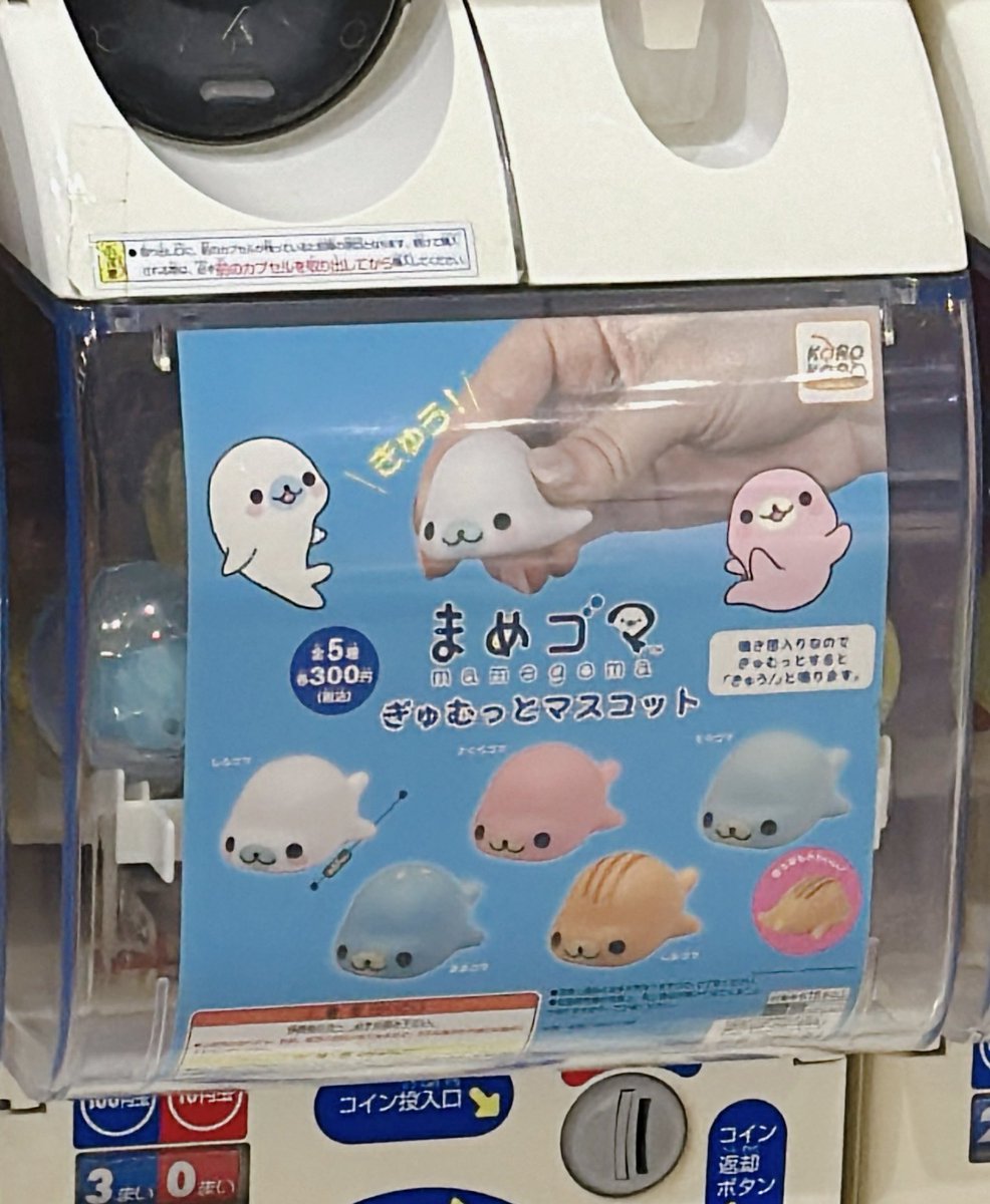 仙台うみの杜水族館にて発見！ ま、ま、まめゴマ！！！ #まめゴマ