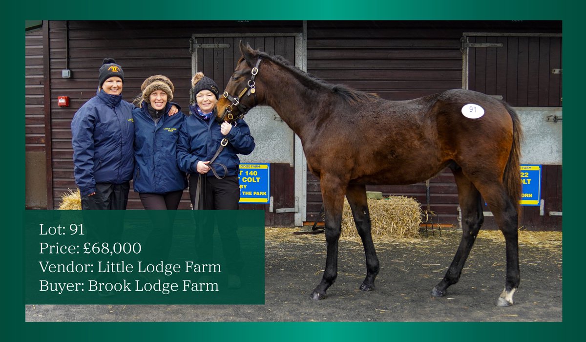 New top lot. 

Lot 91 from Little Lodge Farm, a Vadamos colt out of the Listed winner Banjaxed Girl and a half-brother to Listed winners Le Milos & Kid Commando, sells to Brook Lodge Farm for £68,000.

#GoffsJanuary