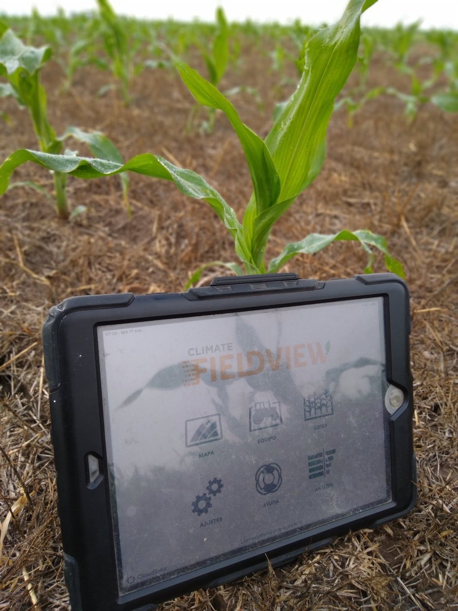 A falta de agua que aguanten con el rocio...

<a href="/FieldViewArg/">FieldView Argentina</a>
<a href="/DekalbArgentina/">DEKALB Argentina</a>
#LER
<a href="/AgroBayerAR/">Agro Bayer</a> 
<a href="/Bayer4Crops/">Bayer | Crop Science</a>