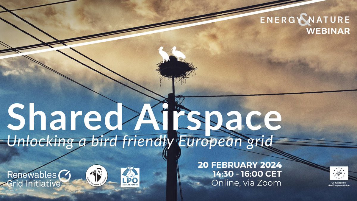 Join our next 🌱 #EnergyAndNature webinar on 2️⃣0️⃣ February, focusing on three essential pillars to ensure a bird-friendly grid:

📊Data accessibility
💰Funding
⚖️Legislative framework

More info and sign up here 👉 renewables-grid.eu/activities/eve…