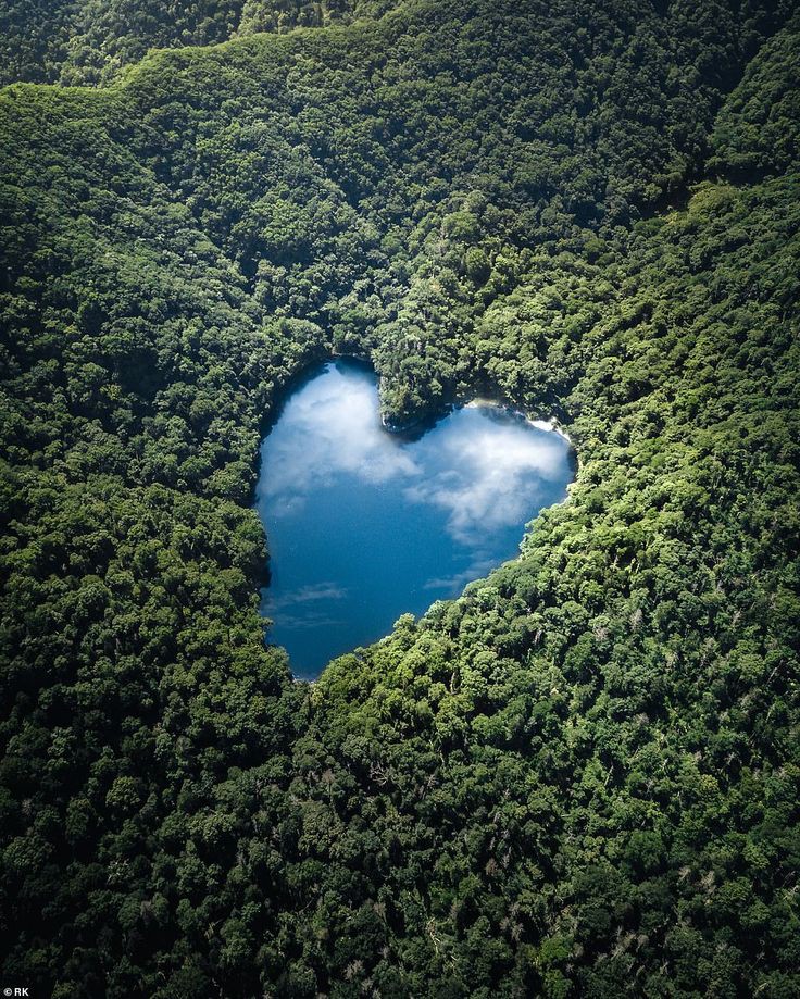 Tu prova ad avere un mondo nel cuore e non riesci a esprimerlo con le parole (F. De André).
💙
Buon pomeriggio a tutti.
💙