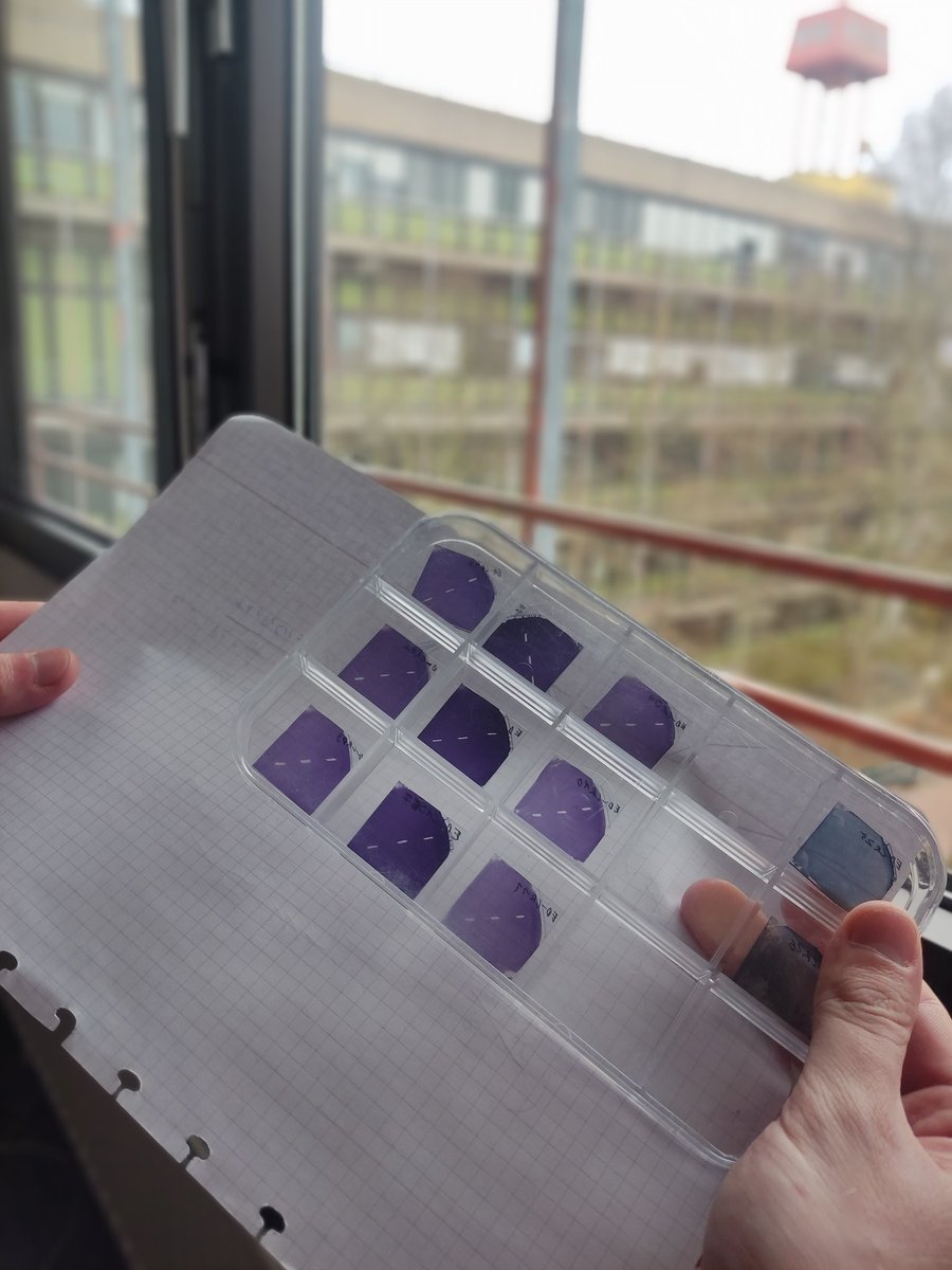 Neuroelectronic Interfaces (NEI) Lab (@neinterfaceslab) on Twitter photo Lab today is turning purple 💜🟣💜 Lab today is turning purple 💜🟣💜
