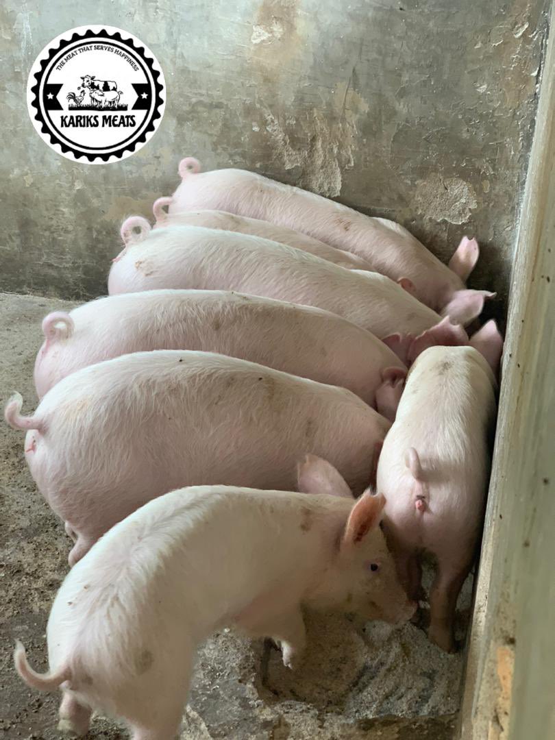 Kariks Meats and Farm tweet media