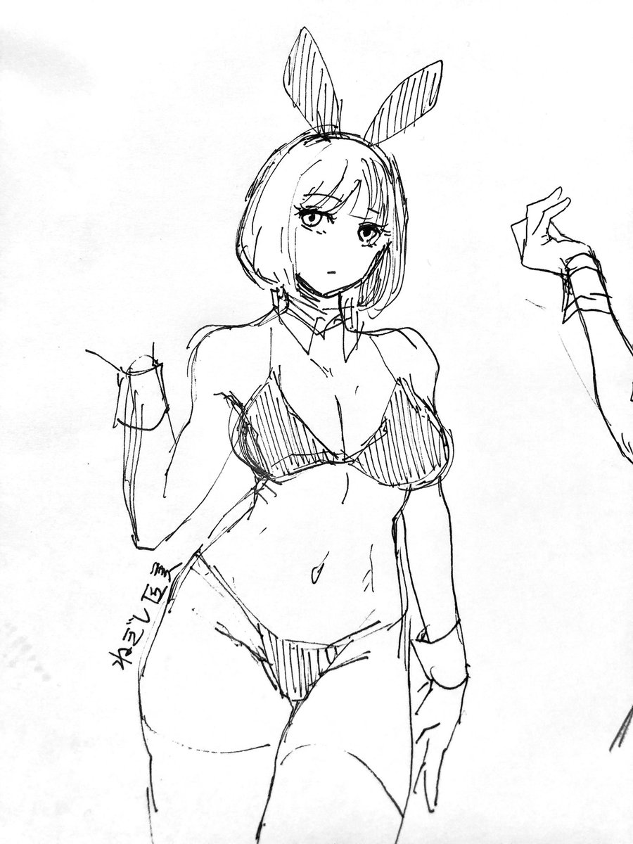 写真参考ボールペン落書き 