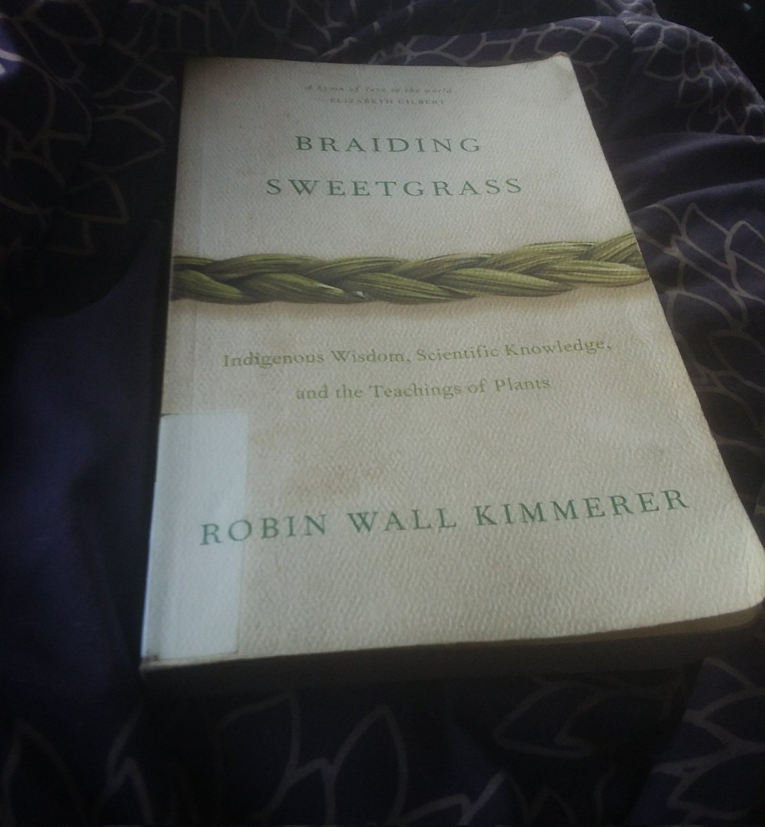 I really loved this book, Robin Wall Kimmerer, weaves her own life stories into, and inspires me to have a deeper relationship with the earth.

#AmReading #BraidingSweetgrass