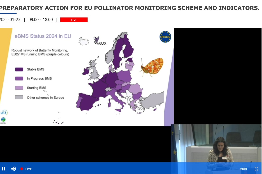 @CrisSevilleja of @europebutterfly shows the dramatic expansion of Butterfly Monitoring Schemes across Europe. Work as part of SPRING project funded by the EU. Great work everyone