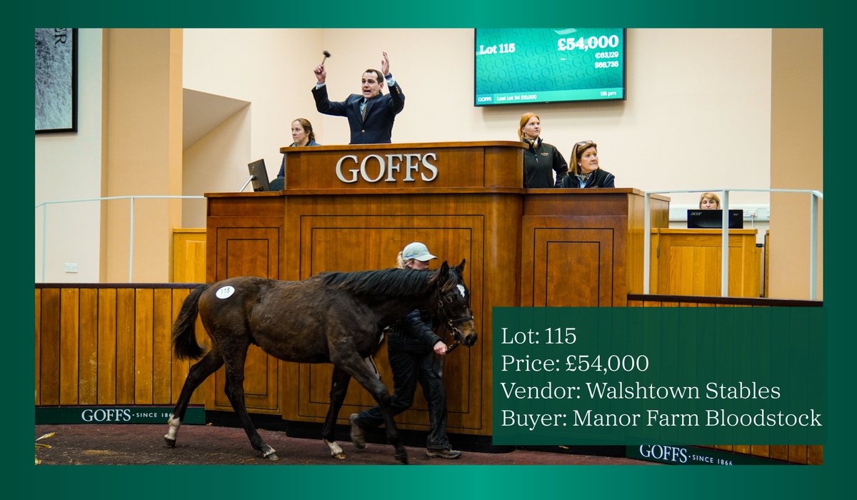 The Blue Bresil colt out of the Listed winning and Gr.1 placed mare Good Thyne Tara from @WalshtownStabl1 sells to Manor Farm Bloodstock for £54,000

#GoffsJanuary