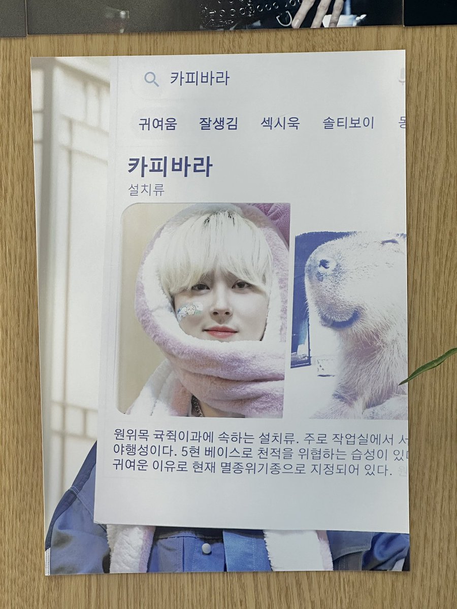 인싸강아지 포도가 픽한 
프레임 이벤트🐶🐾

사랑으로 가득한 공간에서 
사랑 많이 느끼고 가요🥰💗💗

#행복을_가르쳐준_기욱이와_내일도
