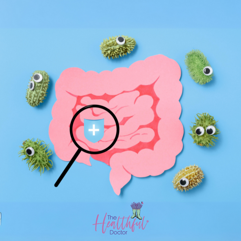 Flytiki's tweet photo. New Blog post - In the bustling world of health and wellness, probiotics have taken centre stage, and for good reason. These beneficial bacteria are essential for maintaining a balanced gut microbiome, which is crucial for overall health.

https://t.co/tRATtVTeMQ https://t.co/2mXodKHFTq